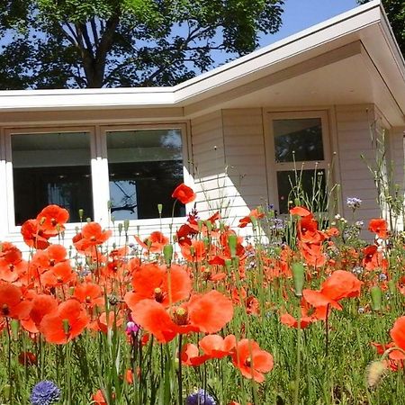 Вилла Het Findament Tiny House Хилверсум Экстерьер фото